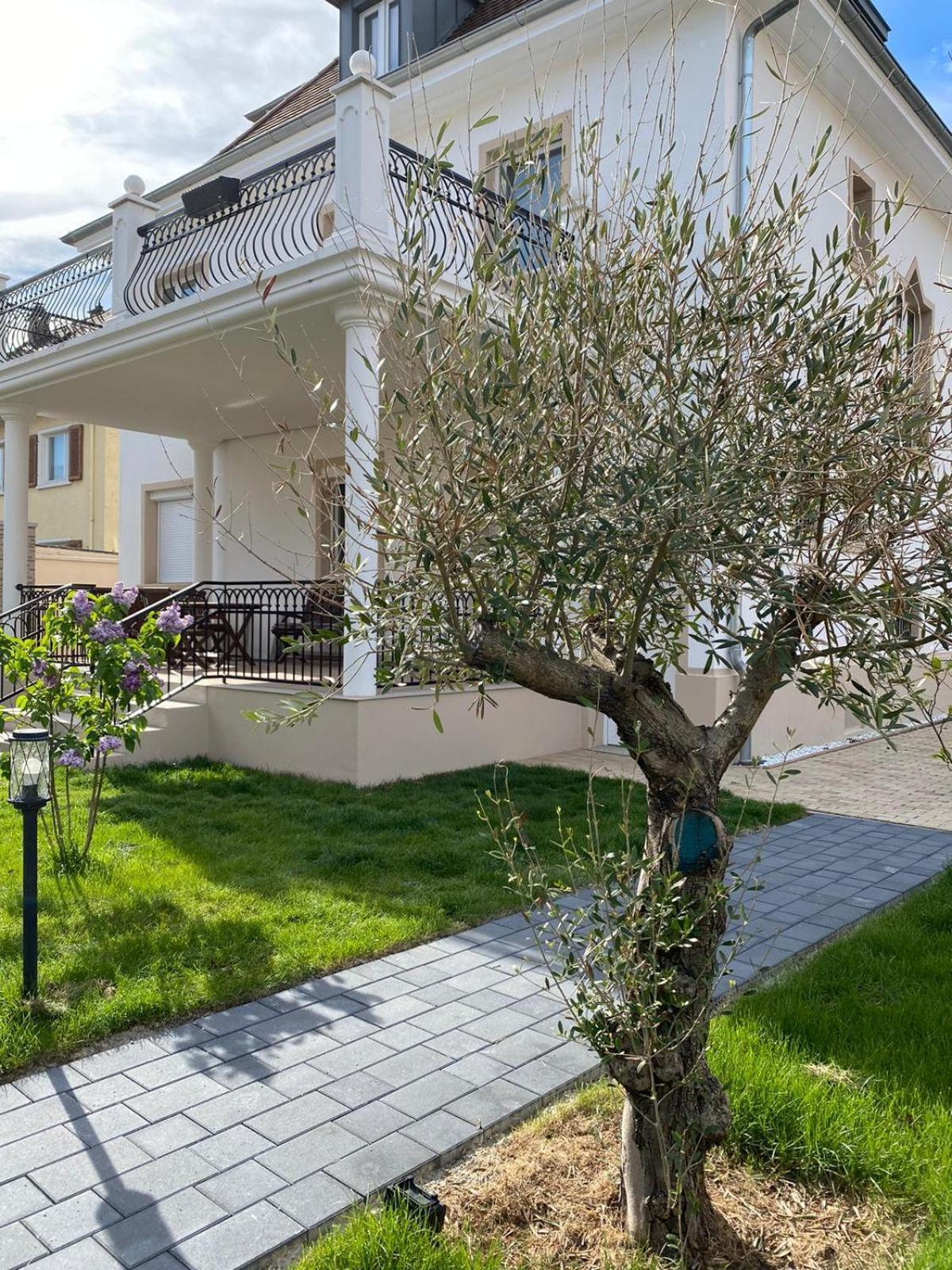 سينغن Primera Villa المظهر الخارجي الصورة